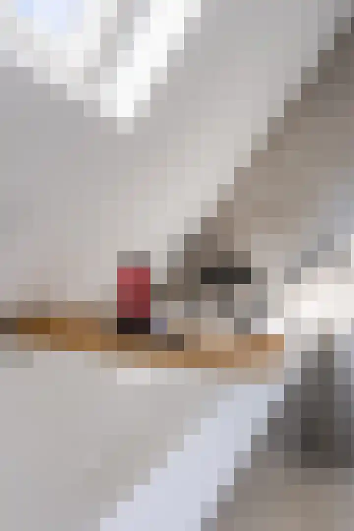Vinkenweg 20 Wapenveld thumbnail 30