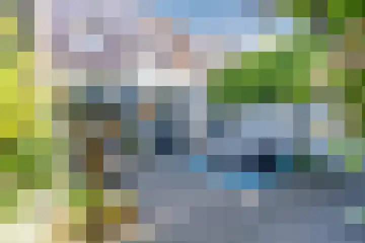 Vinkenweg 20 Wapenveld thumbnail 37