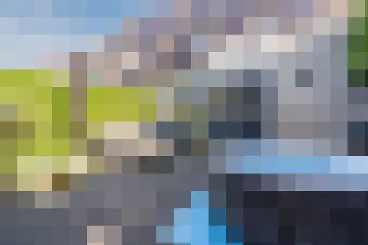 Vinkenweg 20 Wapenveld thumbnail 38