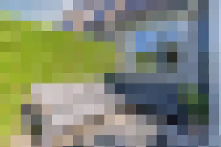 Vinkenweg 20 Wapenveld thumbnail 39