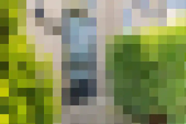 Vinkenweg 20 Wapenveld thumbnail 41