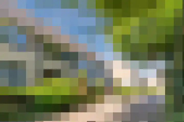 Vinkenweg 20 Wapenveld thumbnail 42