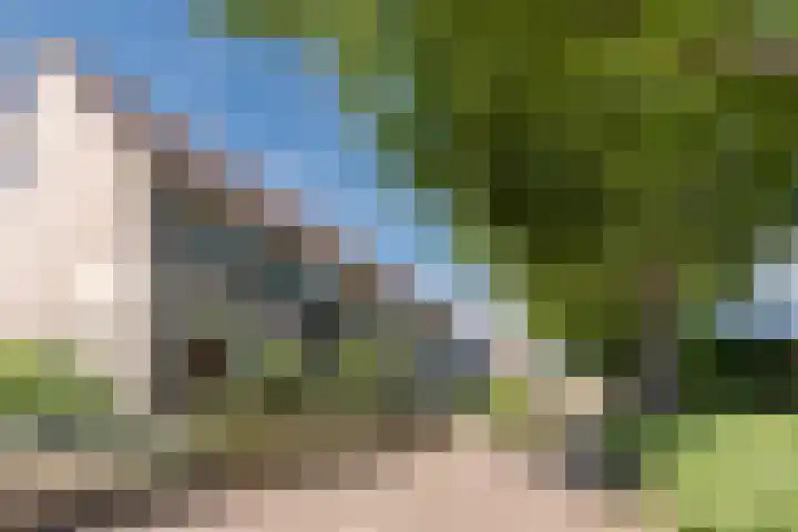 Vinkenweg 20 Wapenveld thumbnail 43