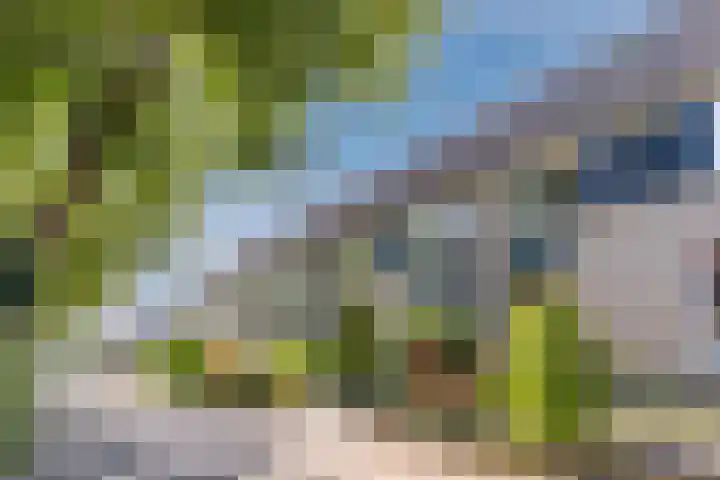 Vinkenweg 20 Wapenveld thumbnail 44