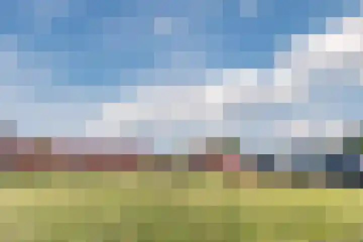 Vinkenweg 20 Wapenveld thumbnail 46