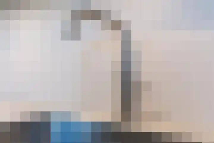 Vinkenweg 20 Wapenveld thumbnail 5