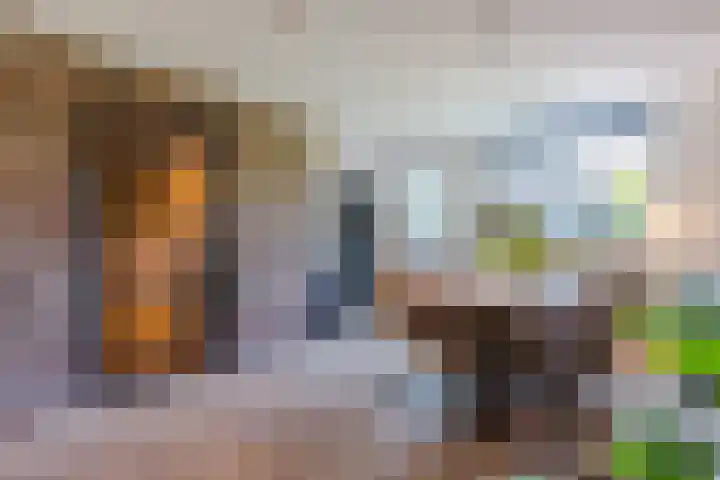 Vinkenweg 20 Wapenveld thumbnail 7