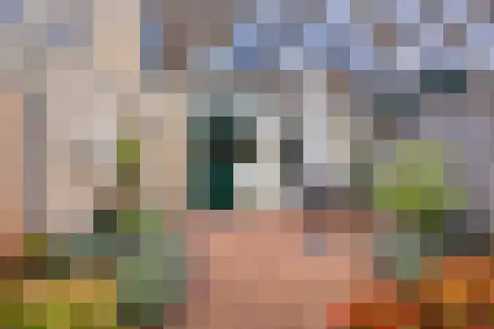 Vinkenweg 38 Wapenveld thumbnail 31