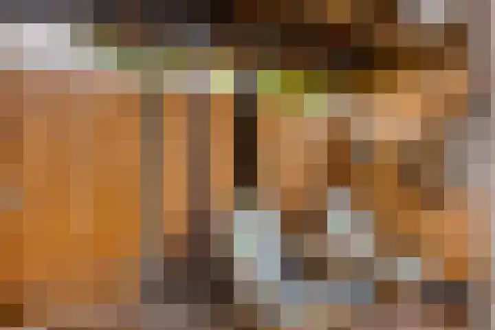 Vinkenweg 38 Wapenveld thumbnail 32