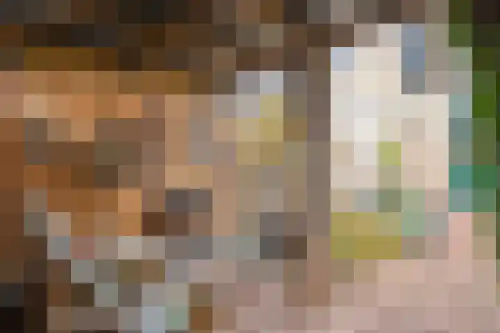Vinkenweg 38 Wapenveld thumbnail 33