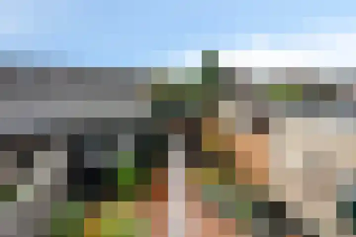 Vinkenweg 38 Wapenveld thumbnail 34