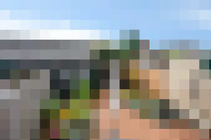 Vinkenweg 38 Wapenveld thumbnail 35