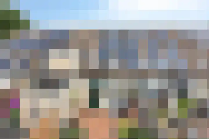 Vinkenweg 38 Wapenveld thumbnail 37