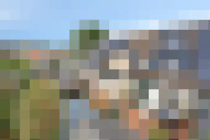 Vinkenweg 38 Wapenveld thumbnail 38