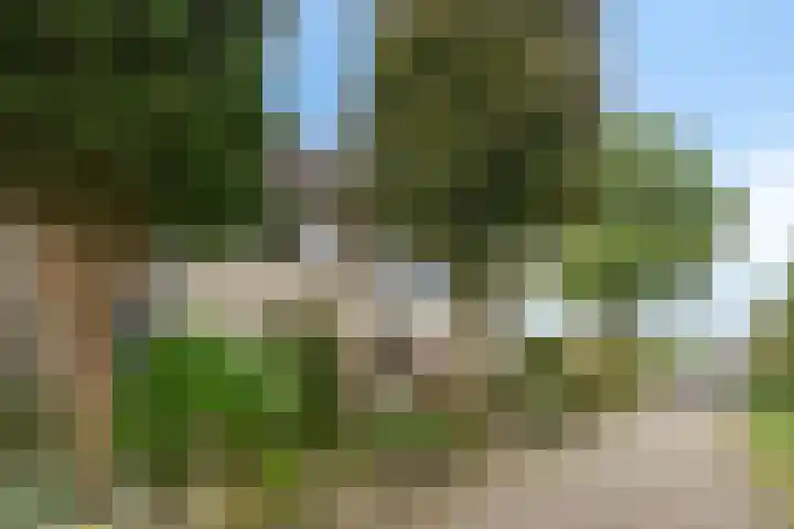 Vinkenweg 38 Wapenveld thumbnail 39