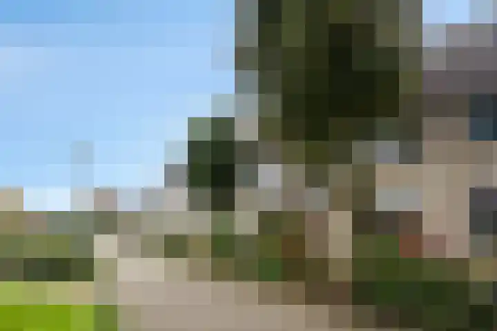 Vinkenweg 38 Wapenveld thumbnail 40
