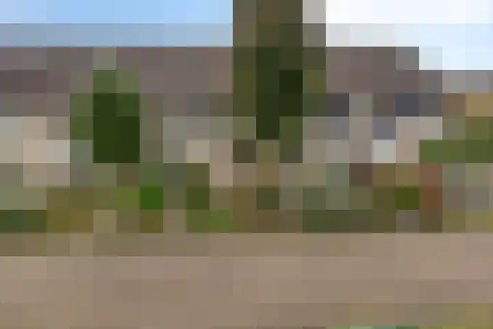 Vinkenweg 38 Wapenveld thumbnail 41