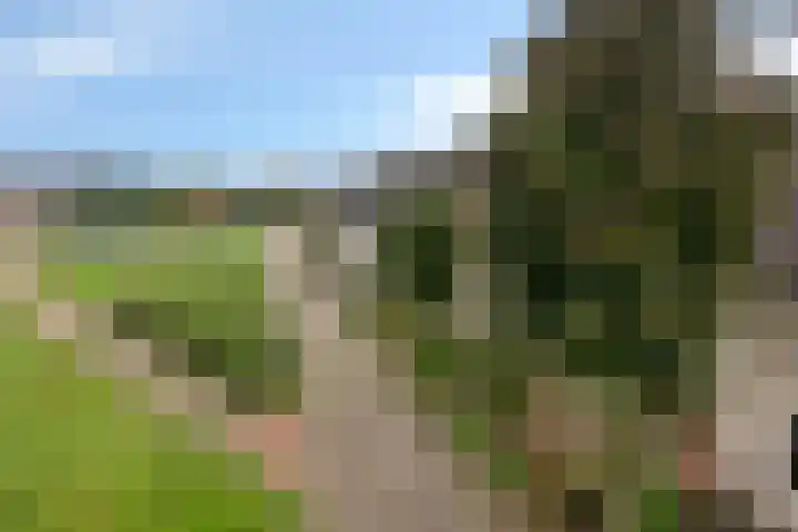 Vinkenweg 38 Wapenveld thumbnail 42