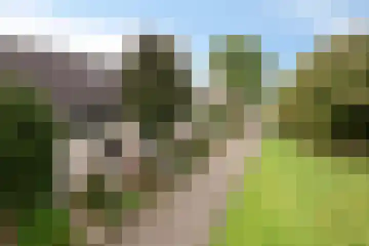 Vinkenweg 38 Wapenveld thumbnail 43