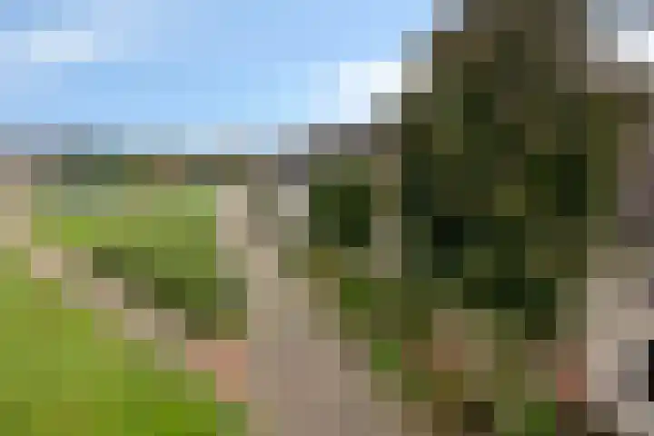 Vinkenweg 38 Wapenveld thumbnail 44