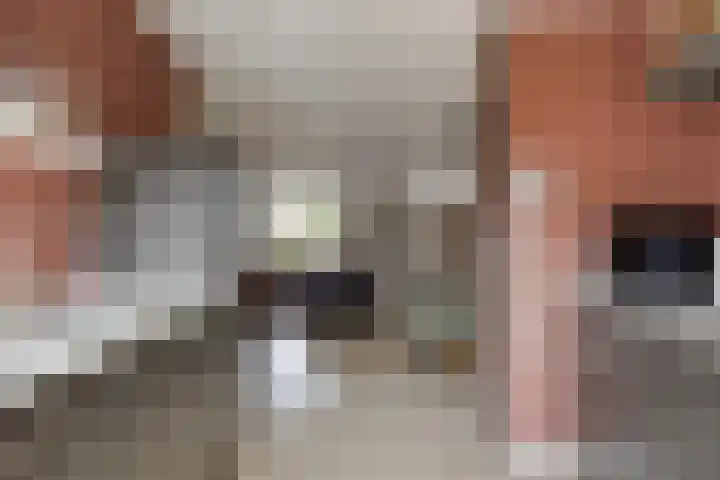 Vinkenweg 38 Wapenveld thumbnail 8