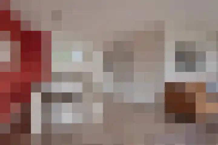 Vinkenweg 42 Wapenveld thumbnail 10