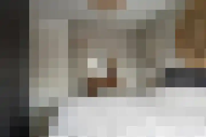 Vinkenweg 42 Wapenveld thumbnail 21