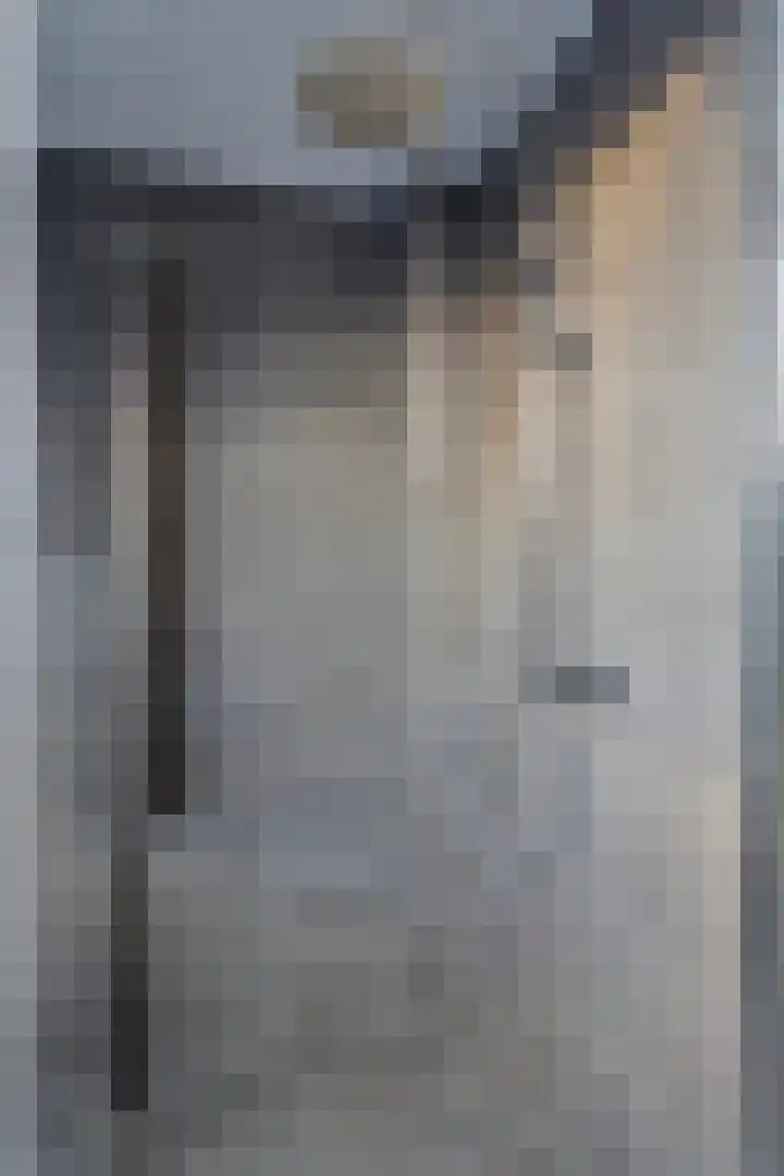 Vinkenweg 42 Wapenveld thumbnail 32