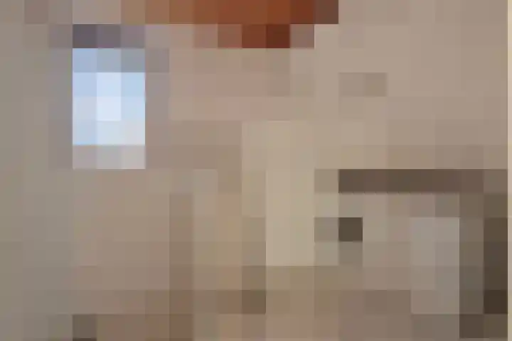 Vinkenweg 42 Wapenveld thumbnail 35