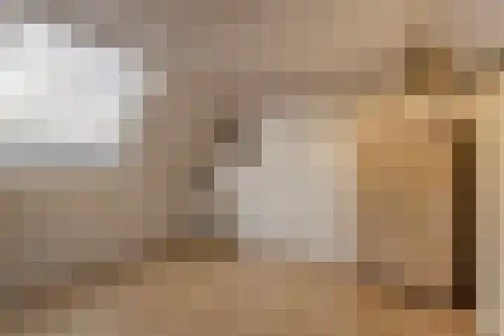 Vinkenweg 42 Wapenveld thumbnail 37