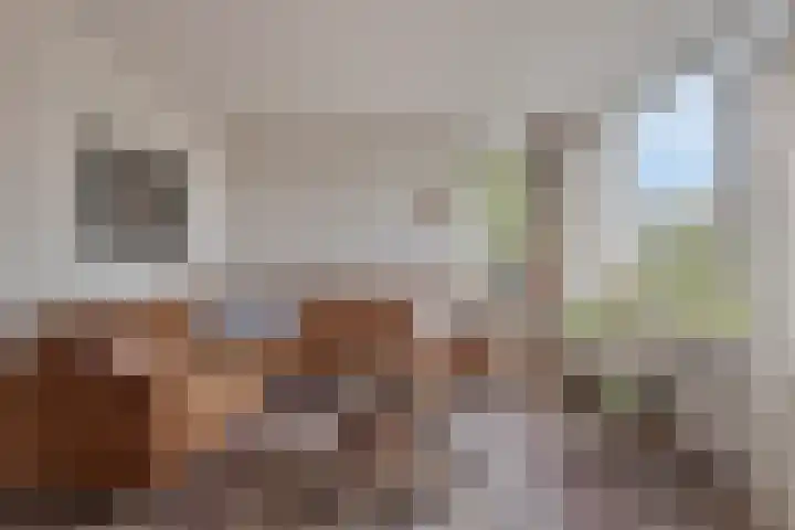 Vinkenweg 42 Wapenveld thumbnail 4