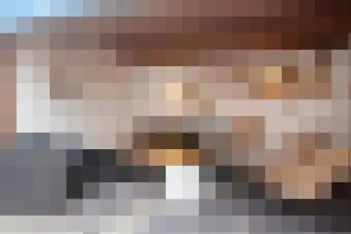 Vinkenweg 42 Wapenveld thumbnail 40
