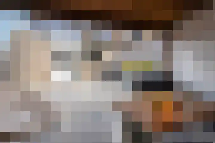 Vinkenweg 42 Wapenveld thumbnail 41