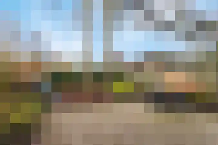 Vinkenweg 42 Wapenveld thumbnail 45
