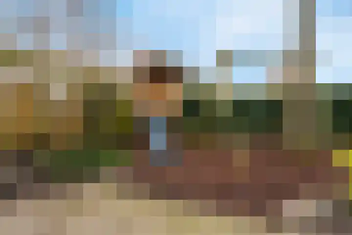 Vinkenweg 42 Wapenveld thumbnail 46
