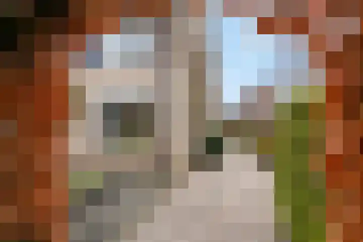 Vinkenweg 42 Wapenveld thumbnail 47