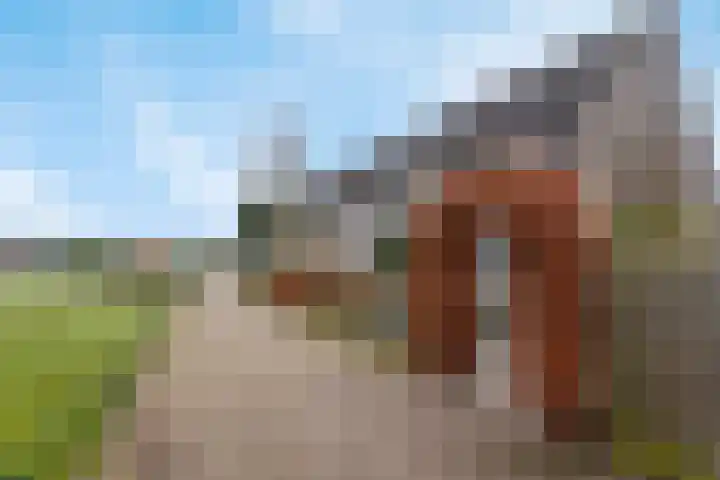 Vinkenweg 42 Wapenveld thumbnail 48