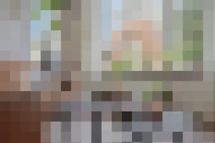 Vinkenweg 42 Wapenveld thumbnail 5