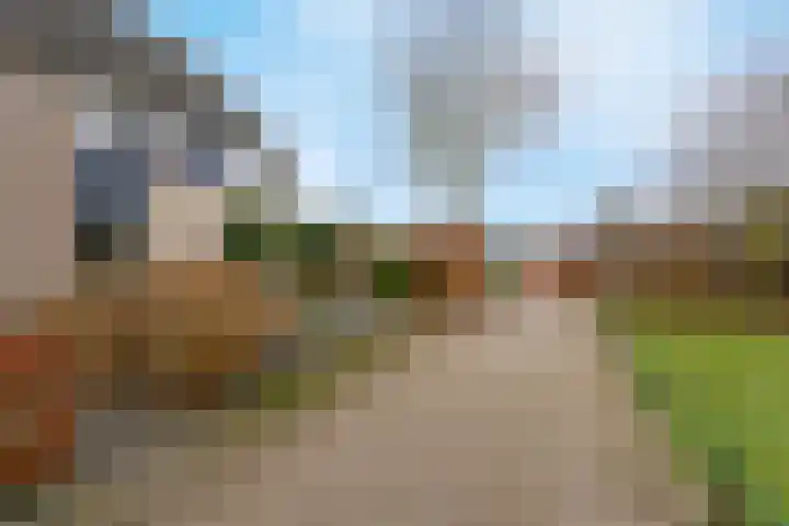 Vinkenweg 42 Wapenveld thumbnail 51