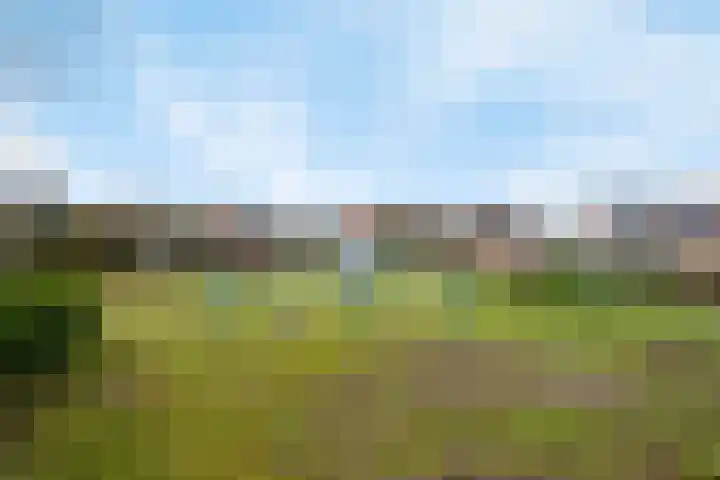 Vinkenweg 42 Wapenveld thumbnail 52