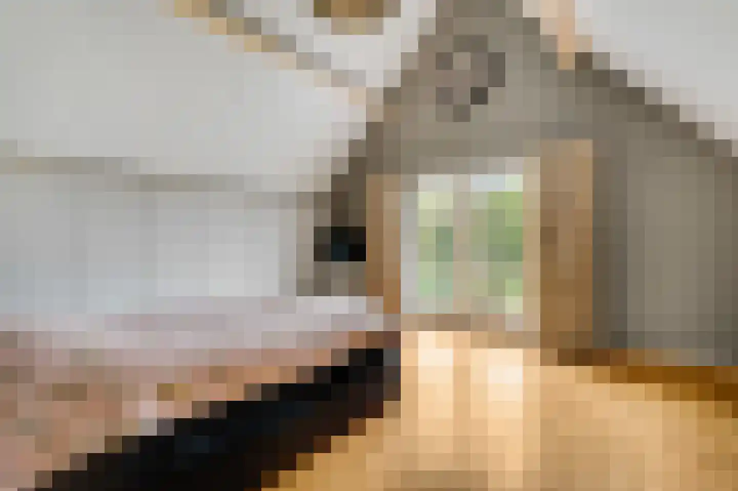 Vinkenweg 5 Berg en Terblijt thumbnail 15