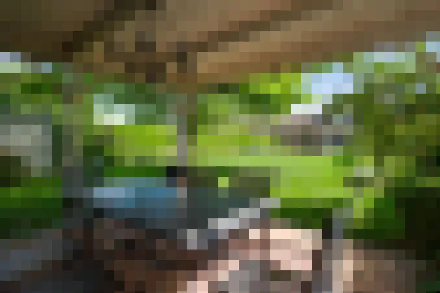 Vinkenweg 5 Berg en Terblijt thumbnail 5