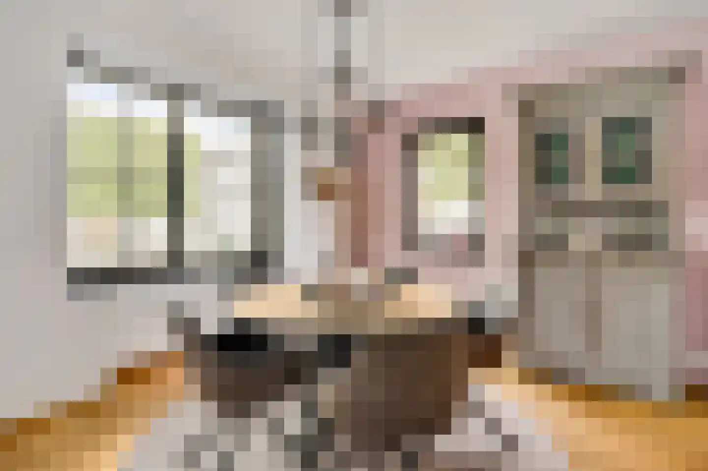 Vinkenweg 5 Berg en Terblijt thumbnail 6