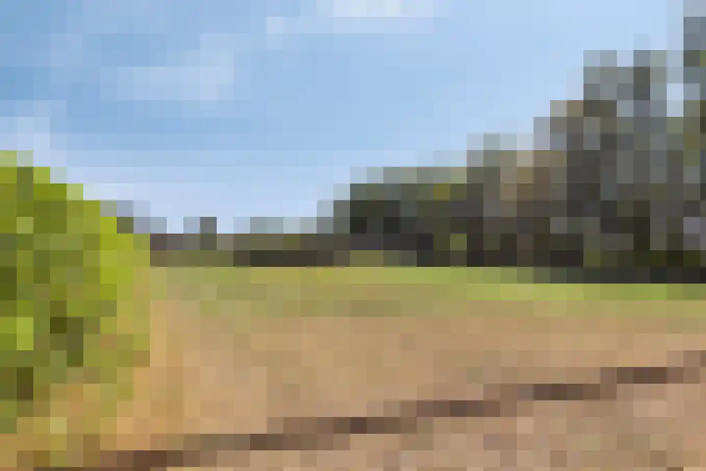 Vinkenweg 50 Westerhaar-Vriezenveensewijk thumbnail 30
