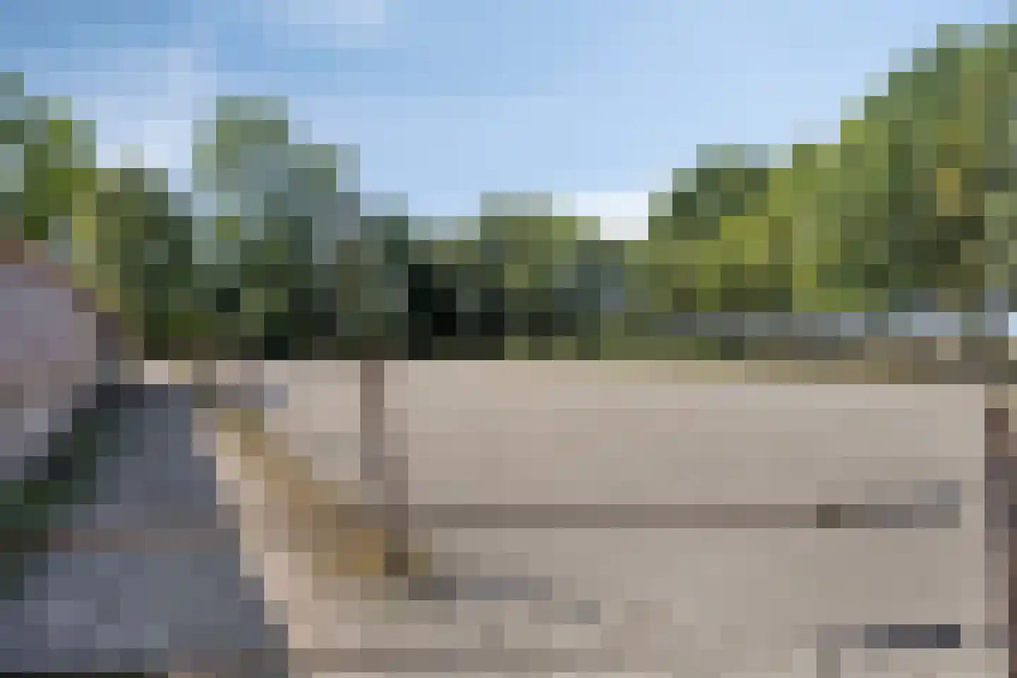 Vinkenweg 50 Westerhaar-Vriezenveensewijk thumbnail 35