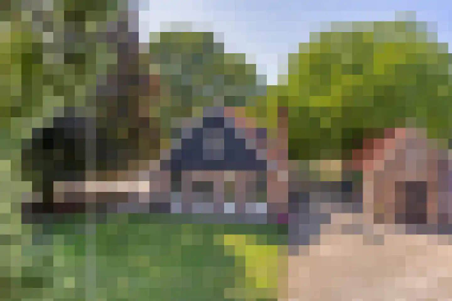 Vinkenweg 50 Westerhaar-Vriezenveensewijk thumbnail 4