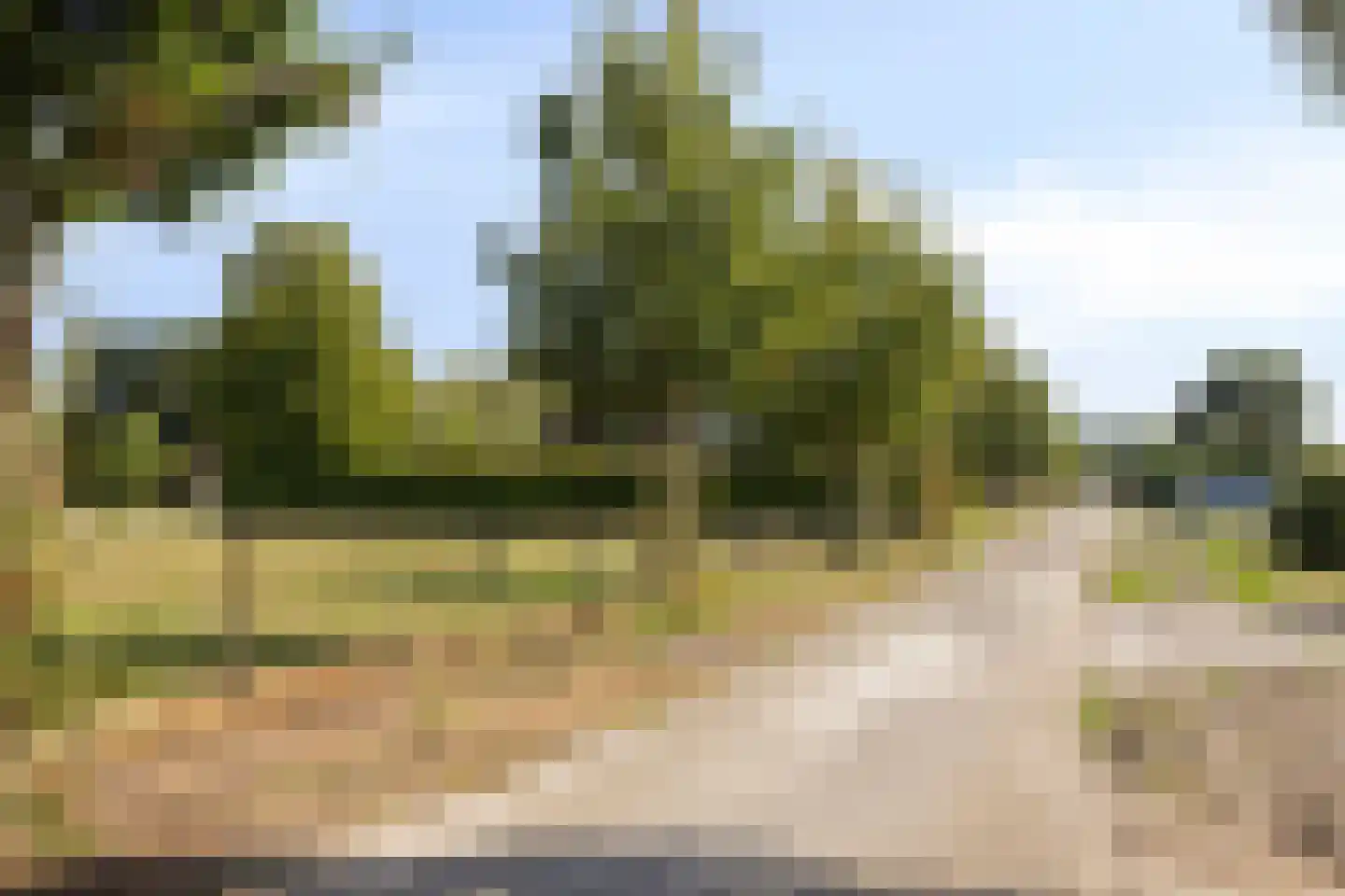 Vinkenweg 50 Westerhaar-Vriezenveensewijk thumbnail 44