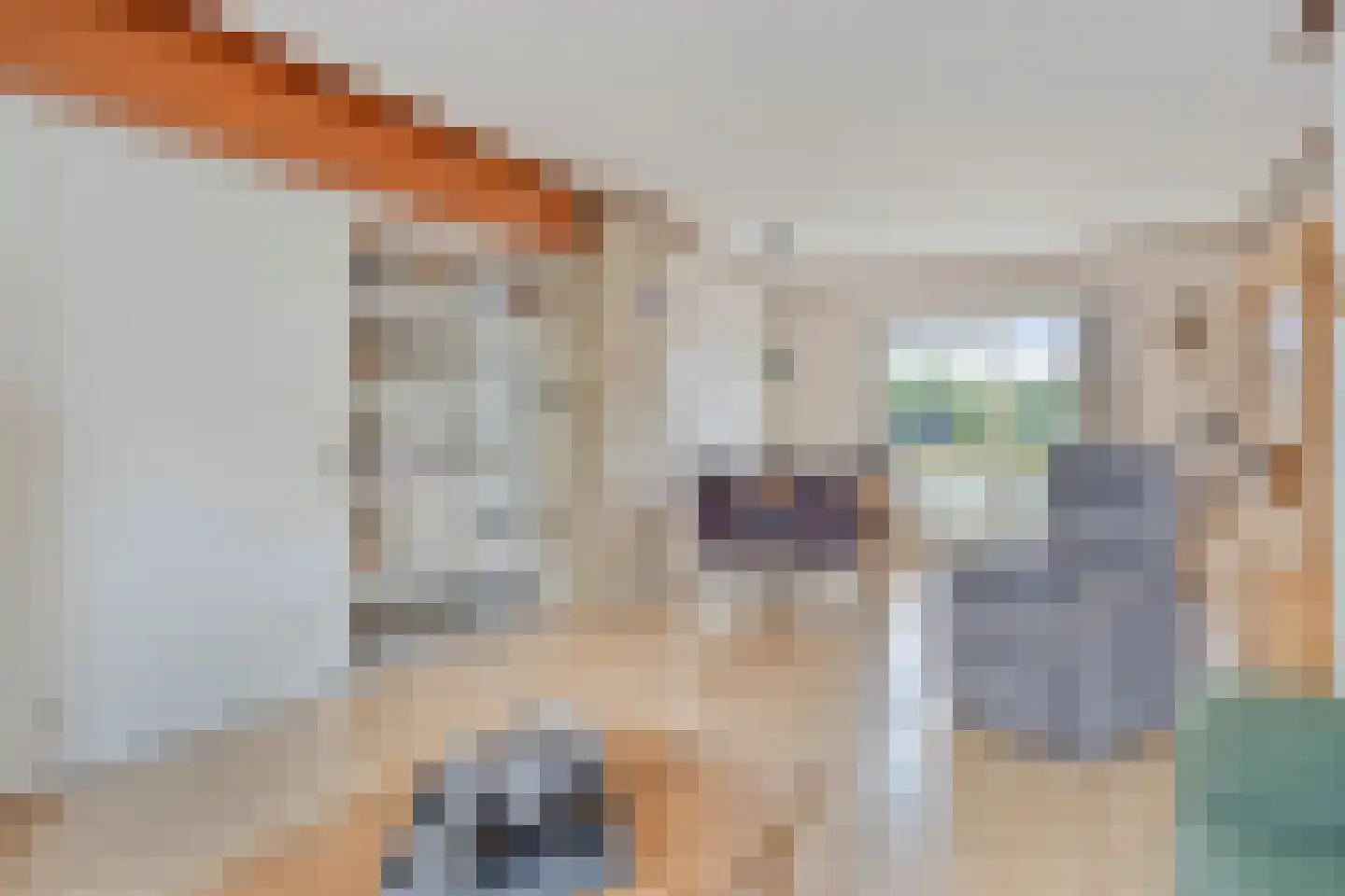 Vinkenweg 6 Berg en Terblijt thumbnail 8