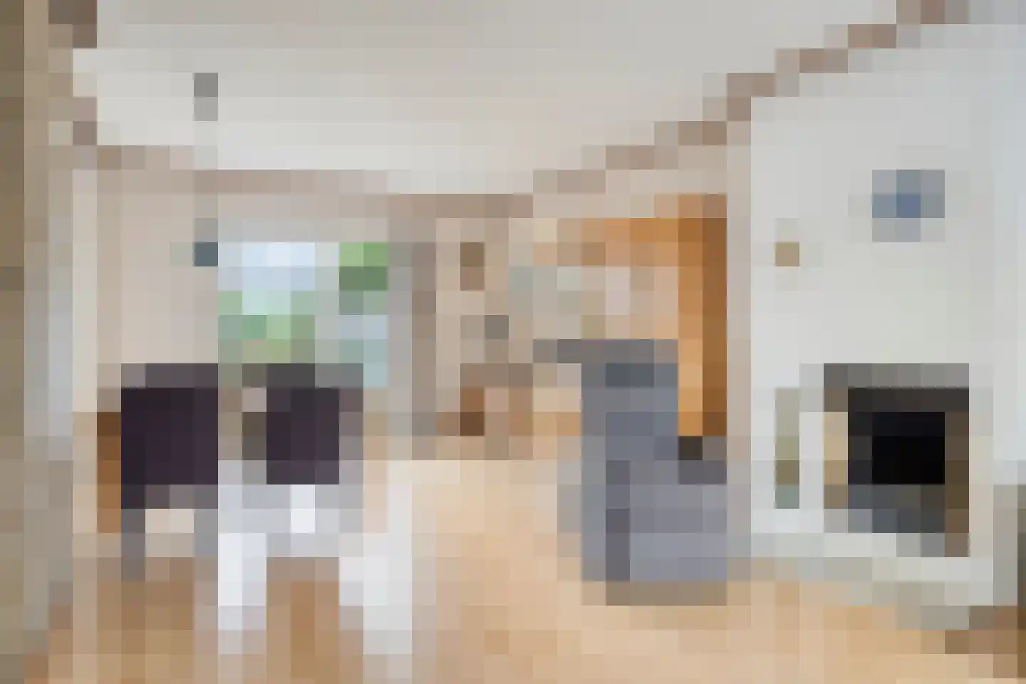Vinkenweg 6 Berg en Terblijt thumbnail 9