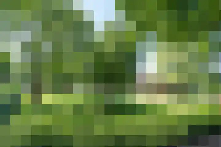 Vinkenweg 6 Deurne thumbnail 10